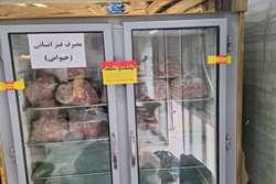 کشف و توقیف مقدار 50 کیلوگرم گوشت چرخکرده فاقد هویت بهداشتی و اجزای حرام دام 